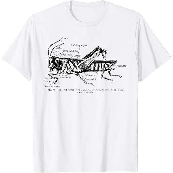 Amazon.com: SATURATE BEFORE USING, Jackson Browne T-Shirt Amazon.com: SATURATE BEFORE USING, Jackson Browne T-Shirt